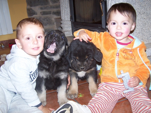 Joel y Eva con Nala y Sombra de Los Piscardos.
Keywords: piscardos