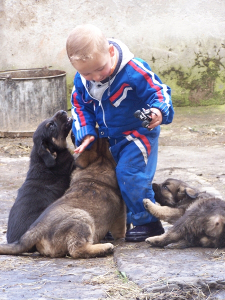 Joel y cachorros.
Klíčová slova: piscardos