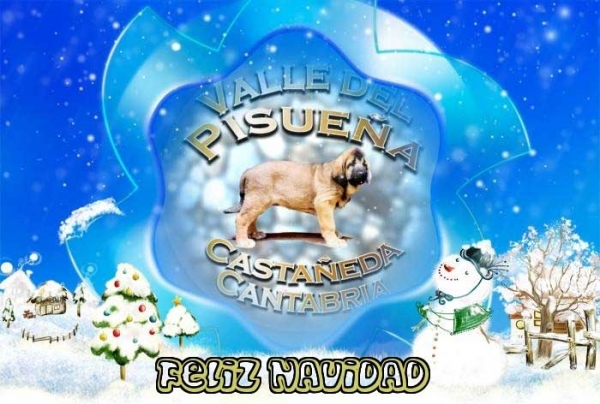 Merry Christmas 2011 from Valle de Pisueña, Spain
Keywords: pisuena