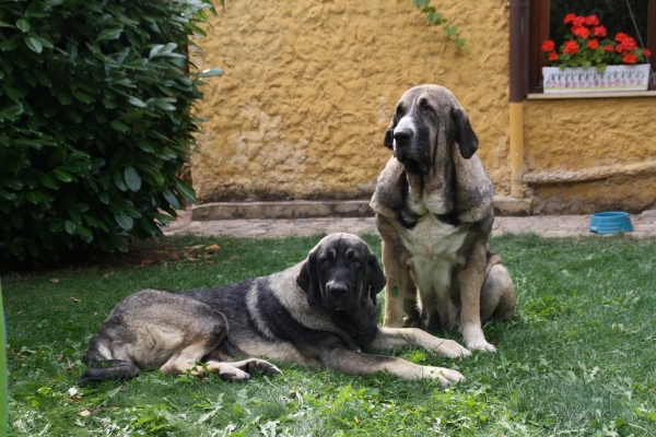 KANDY Y SU HIJA BACHATA DE LA GORGORACHA EN BARRIOS DE LUNA 2009
Trefwoorden: gorgoracha