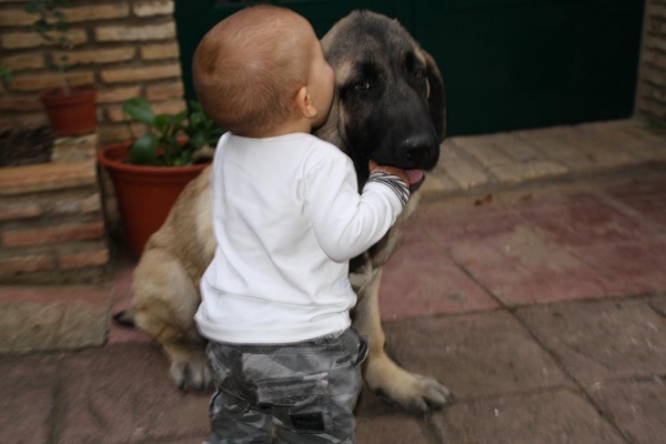 YERAY LE DA UN BESITO A SU DUENDE
Keywords: kids gorgoracha