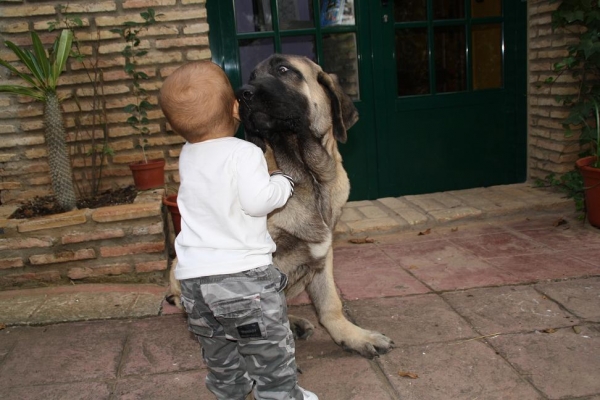 DUENDE DE LA GORGORACHA QUIERE MUCHO A YERAY
Keywords: kids gorgoracha