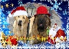 Filename=Беллис_и_Банди.gif
Filesize=511KiB
Dimensions=960x687
Date added=%571 %23, %2009 Беллис_и_Банди.gif