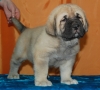 Filename=К№3.JPG
Filesize=142KiB
Dimensions=800x724
Date added=%672 %20, %2012 К№3.JPG