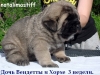 Filename=лит_В_д_ХиВ.JPG
Filesize=99KiB
Dimensions=640x480
Date added=%504 %25, %2010 лит_В_д_ХиВ.JPG