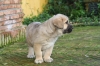Filename=0.jpg
Filesize=82KiB
Dimensions=778x519
Date added=%289 %09, %2010 0.jpg