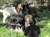 Filename=00.JPG
Filesize=113KiB
Dimensions=448x328
Date added=%001 %26, %2010 00.JPG