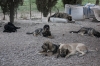 Filename=017_(800x533).jpg
Filesize=380KiB
Dimensions=800x533
Date added=%584 %03, %2012 017_(800x533).jpg