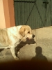 Filename=022310094319.jpg
Filesize=63KiB
Dimensions=480x640
Date added=%831 %06, %2010 022310094319.jpg