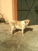 Filename=022310094458.jpg
Filesize=75KiB
Dimensions=480x640
Date added=%831 %06, %2010 022310094458.jpg