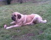 Filename=07_Cooper.jpg
Filesize=202KiB
Dimensions=800x635
Date added=%427 %25, %2010 07_Cooper.jpg