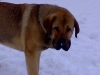 Filename=09022008boy.jpg
Filesize=19KiB
Dimensions=640x480
Date added=%803 %14, %2008 09022008boy.jpg