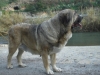Filename=1.jpg
Filesize=110KiB
Dimensions=768x576
Date added=%863 %17, %2009 1.jpg
