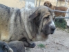 Filename=10.JPG
Filesize=114KiB
Dimensions=768x576
Date added=%443 %28, %2009 10.JPG