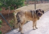 Filename=100_3082.JPG
Filesize=64KiB
Dimensions=480x338
Date added=%753 %21, %2011 100_3082.JPG