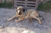 Filename=100_3090.JPG
Filesize=48KiB
Dimensions=480x320
Date added=%941 %15, %2011 100_3090.JPG