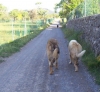 Filename=100_3103.JPG
Filesize=64KiB
Dimensions=480x443
Date added=%535 %13, %2011 100_3103.JPG