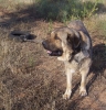 Filename=100_3110.JPG
Filesize=103KiB
Dimensions=462x480
Date added=%534 %13, %2011 100_3110.JPG