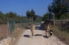 Filename=100_3257.JPG
Filesize=43KiB
Dimensions=480x321
Date added=%534 %13, %2011 100_3257.JPG