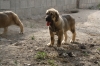 Filename=10~0.jpg
Filesize=283KiB
Dimensions=972x648
Date added=%269 %01, %2011 10~0.jpg