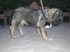 Filename=11.jpg
Filesize=113KiB
Dimensions=768x576
Date added=%857 %17, %2009 11.jpg