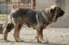 Filename=11~0.jpg
Filesize=345KiB
Dimensions=972x648
Date added=%278 %01, %2011 11~0.jpg
