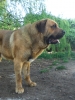 Filename=12.jpg
Filesize=119KiB
Dimensions=576x768
Date added=%857 %17, %2009 12.jpg