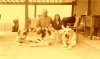 Filename=1273.jpg
Filesize=137KiB
Dimensions=994x595
Date added=%239 %25, %2012 1273.jpg