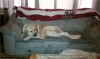 Filename=1276.jpg
Filesize=226KiB
Dimensions=1395x834
Date added=%235 %25, %2012 1276.jpg
