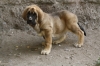Filename=12~0.jpg
Filesize=288KiB
Dimensions=972x648
Date added=%277 %01, %2011 12~0.jpg