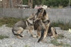 Filename=12~1.jpg
Filesize=290KiB
Dimensions=972x648
Date added=%298 %02, %2011 12~1.jpg