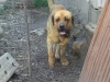 Filename=13.jpg
Filesize=145KiB
Dimensions=768x576
Date added=%875 %17, %2009 13.jpg