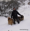 Filename=13_1.jpg
Filesize=381KiB
Dimensions=1900x1915
Date added=%008 %22, %2014 13_1.jpg