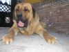 Filename=14.jpg
Filesize=106KiB
Dimensions=768x576
Date added=%874 %17, %2009 14.jpg