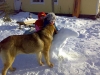 Filename=14022008children.jpg
Filesize=41KiB
Dimensions=640x480
Date added=%820 %14, %2008 14022008children.jpg