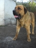 Filename=15.jpg
Filesize=101KiB
Dimensions=576x768
Date added=%874 %17, %2009 15.jpg