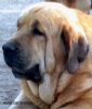 Filename=150820146609_4.jpg
Filesize=205KiB
Dimensions=943x1109
Date added=%660 %16, %2014 150820146609_4.jpg