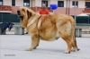Filename=15~0.jpg
Filesize=41KiB
Dimensions=640x428
Date added=%498 %15, %2012 15~0.jpg