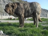 Filename=17~0.jpg
Filesize=159KiB
Dimensions=768x576
Date added=%873 %17, %2009 17~0.jpg