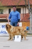 Filename=18~1.jpg
Filesize=52KiB
Dimensions=428x640
Date added=%497 %15, %2012 18~1.jpg