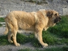 Filename=19.jpg
Filesize=136KiB
Dimensions=768x576
Date added=%872 %17, %2009 19.jpg