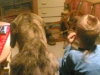 Filename=19012007.jpg
Filesize=296KiB
Dimensions=1280x960
Date added=%470 %07, %2007 19012007.jpg