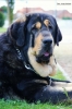 Filename=19~0.jpg
Filesize=41KiB
Dimensions=428x640
Date added=%496 %15, %2012 19~0.jpg