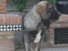 Filename=1~0.jpg
Filesize=105KiB
Dimensions=768x576
Date added=%909 %20, %2009 1~0.jpg
