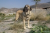 Filename=1~1.jpg
Filesize=170KiB
Dimensions=972x648
Date added=%279 %13, %2009 1~1.jpg