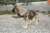 Filename=1~10.jpg
Filesize=294KiB
Dimensions=972x648
Date added=%296 %02, %2011 1~10.jpg