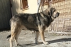 Filename=1~4.jpg
Filesize=180KiB
Dimensions=972x648
Date added=%928 %28, %2010 1~4.jpg