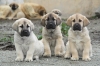 Filename=1~6.jpg
Filesize=77KiB
Dimensions=778x519
Date added=%293 %09, %2010 1~6.jpg