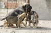 Filename=1~9.jpg
Filesize=292KiB
Dimensions=972x648
Date added=%274 %01, %2011 1~9.jpg