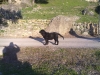 Filename=20022011050.jpg
Filesize=419KiB
Dimensions=1600x1200
Date added=%850 %26, %2011 20022011050.jpg